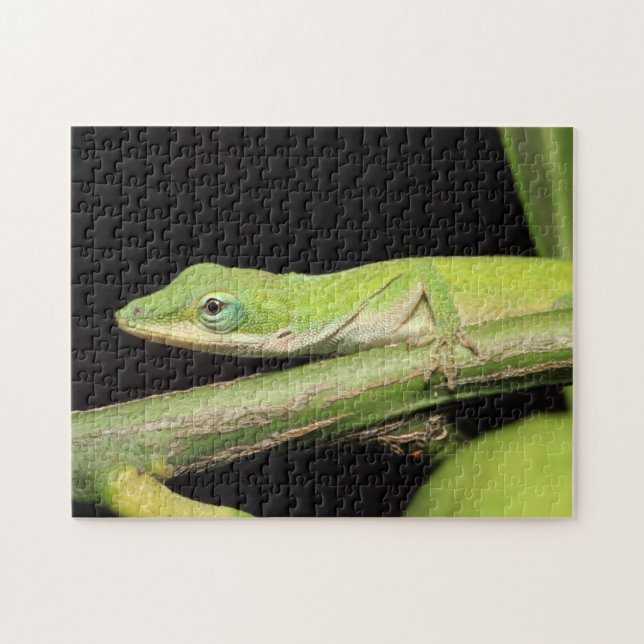Niedlicher Grüngarten Anole Lizard Natur Wildlife Puzzle (Horizontal)