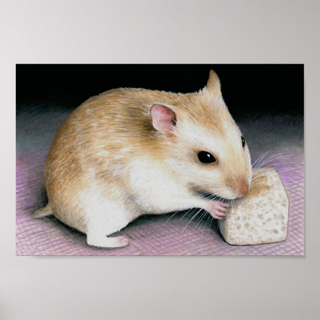 Niedlicher Hamster 18 Poster (Vorne)