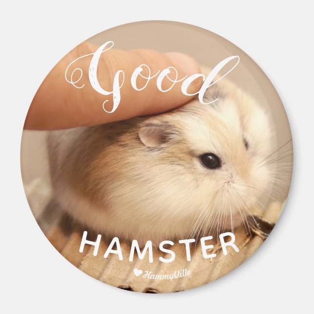 Niedlicher Hamster als guter Hamster Magnet (Vorne)