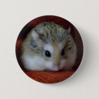 Niedlicher Hamster auf einem Knopf - Hammy