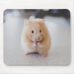 Niedlicher Hamster Mousepad