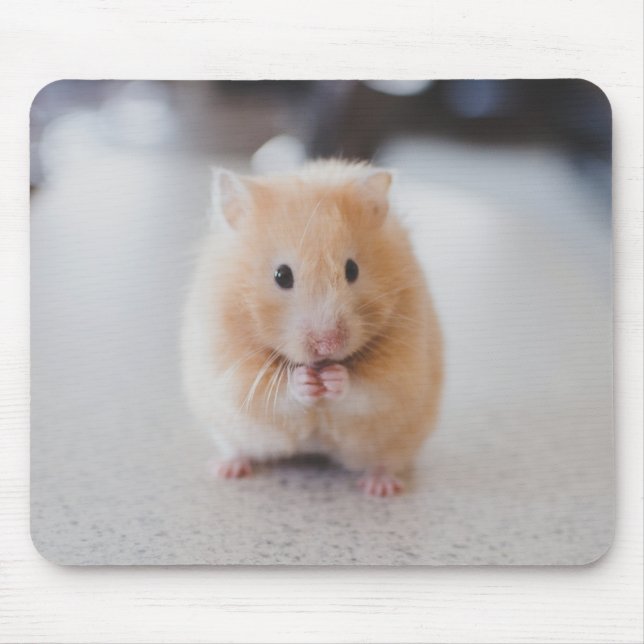 Niedlicher Hamster Mousepad (Vorne)