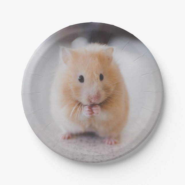Niedlicher Hamster Pappteller (Vorderseite)