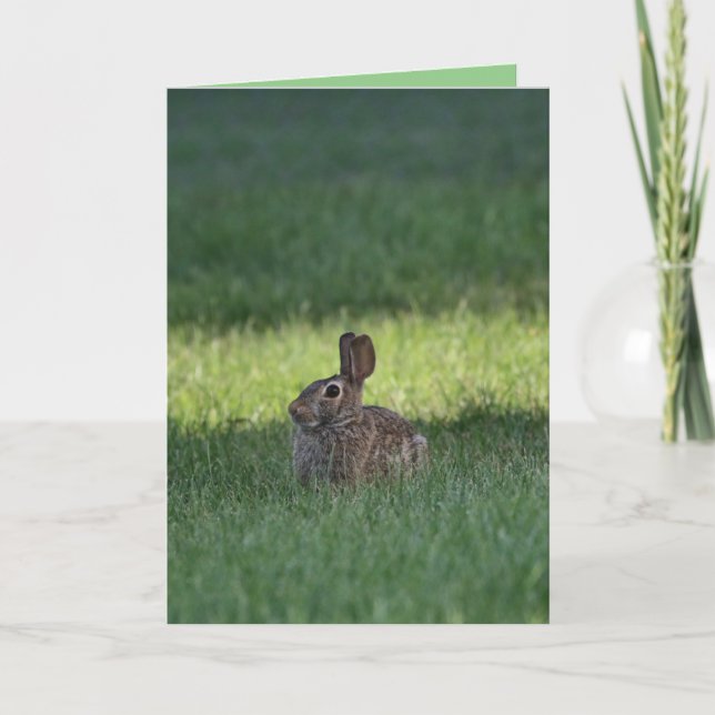 Niedlicher Hase Karte (Vorderseite)