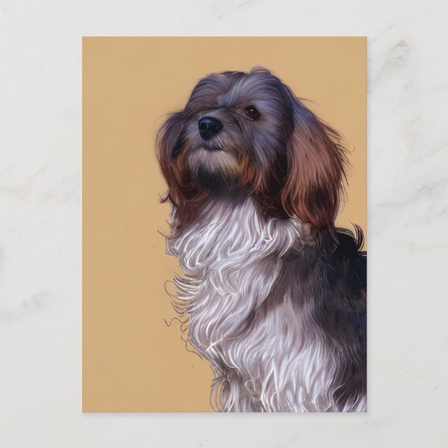 Niedlicher Havanese Welpen-Hund-Postkarte Postkarte (Vorderseite)