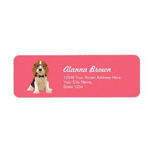 Niedlicher Hipster Beagle Welpen Hund für Hundefre