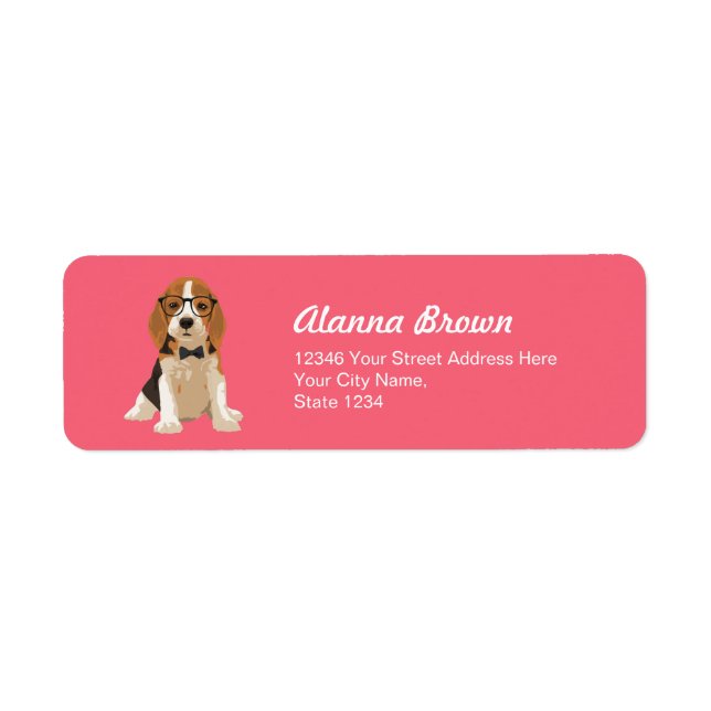 Niedlicher Hipster Beagle Welpen Hund für Hundefre (Vorne)