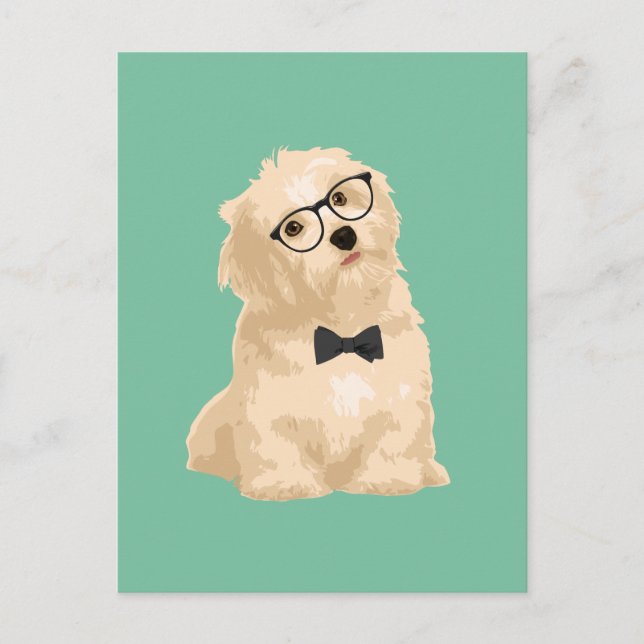 Niedlicher Hipster Reddish Havanese Welpe für Hund Postkarte (Vorderseite)