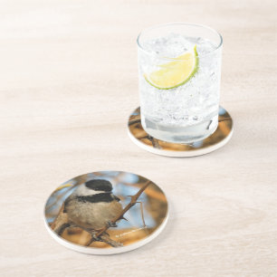 Niedlicher hoffnungsvoller Schwarzkicherling-Songb Getränkeuntersetzer