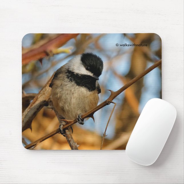 Niedlicher hoffnungsvoller Schwarzkicherling-Songb Mousepad (Mit Mouse)