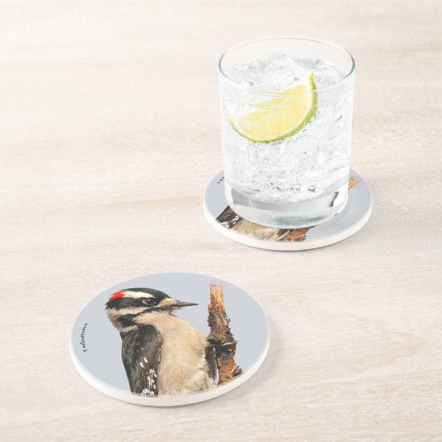 Niedlicher Holzspecht auf Obstbaum Getränkeuntersetzer (Seite)