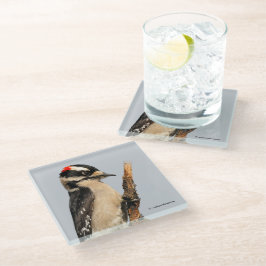 Niedlicher Holzspecht auf Obstbaum Glasuntersetzer