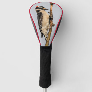 Niedlicher Holzspecht auf Obstbaum Golf Headcover
