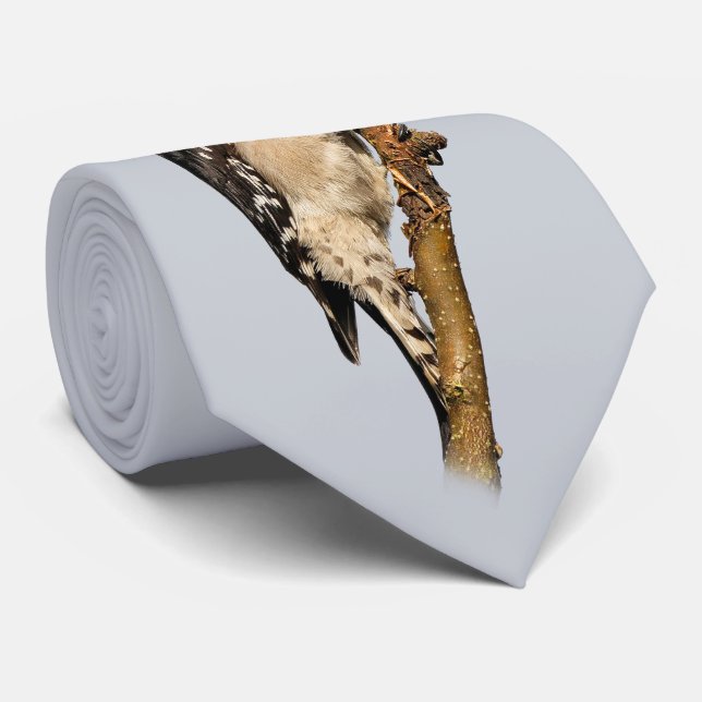 Niedlicher Holzspecht auf Obstbaum Krawatte (Gerollt)