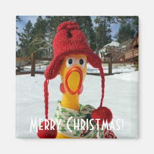 Niedlicher Hühner-Weihnachtsmagnet! Magnet