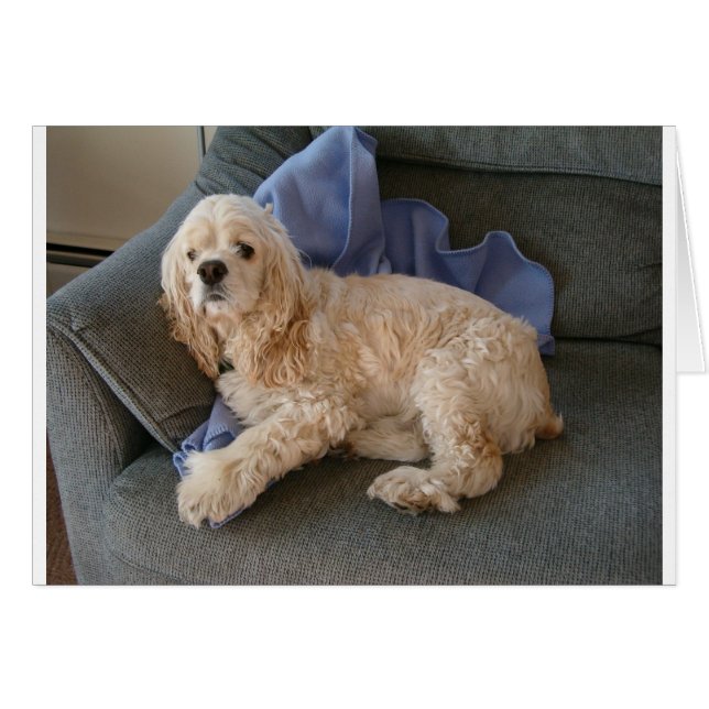 Niedlicher Hund (Vorderseite (Horizontal))