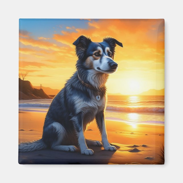 Niedlicher Hund am Strand bei Sunset Magnet (Vorne)
