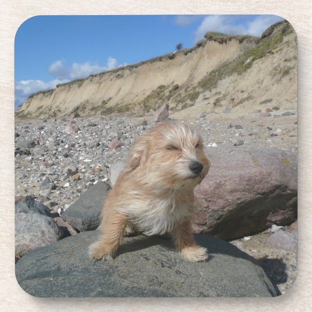Niedlicher Hund am Strand Untersetzer (Vorderseite)