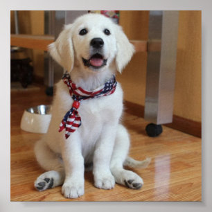 niedlicher Hund auf dem Weltplakat Poster