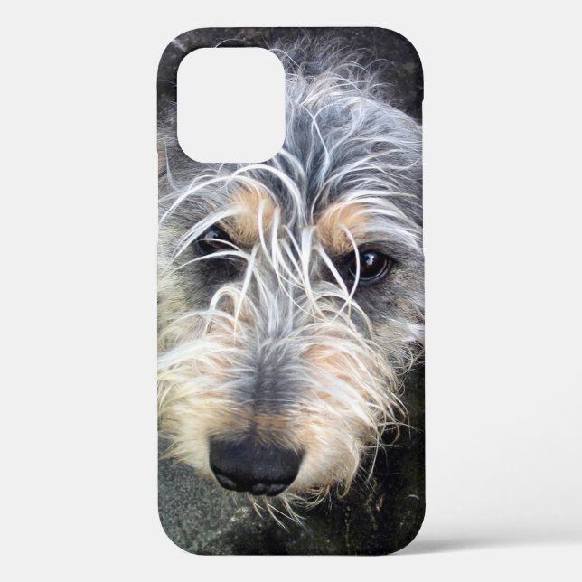 Niedlicher Hund Case-Mate iPhone-Fall iPhone Hülle (Rückseite)