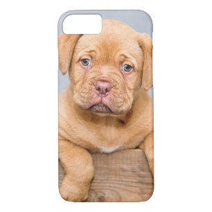 Niedlicher Hund Case-Mate iPhone Hülle