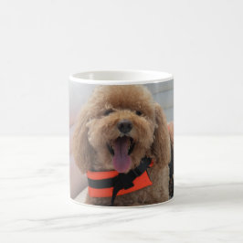 Niedlicher Hund Cockapoo Beste Freundfotografie Kaffeetasse