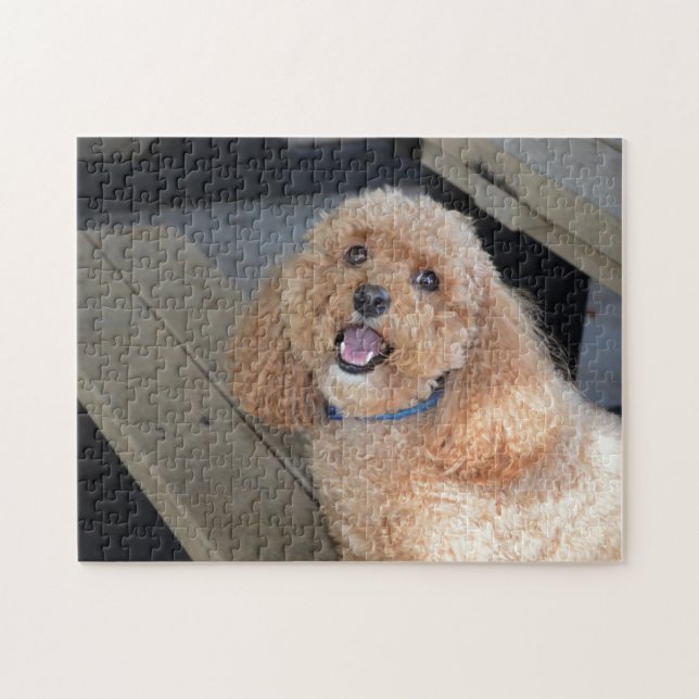 Niedlicher Hund Cockapoo Rasse Bester Freund Tier  Puzzle (Horizontal)