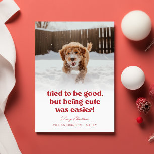 Niedlicher Hund Funny Pet Foto Weihnachten