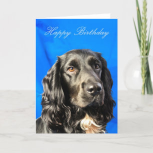 Niedlicher Hund Geburtskarte Karte