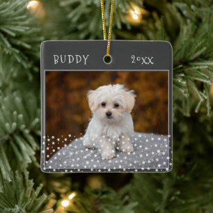 Niedlicher Hund Haustier 2 Fotos Star Muster Weihn Keramikornament