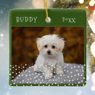 Niedlicher Hund Haustier 2 Fotos Star Pattern Grün Keramikornament