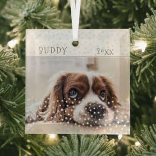 Niedlicher Hund Haustier Foto Star Muster Weihnach Ornament Aus Glas