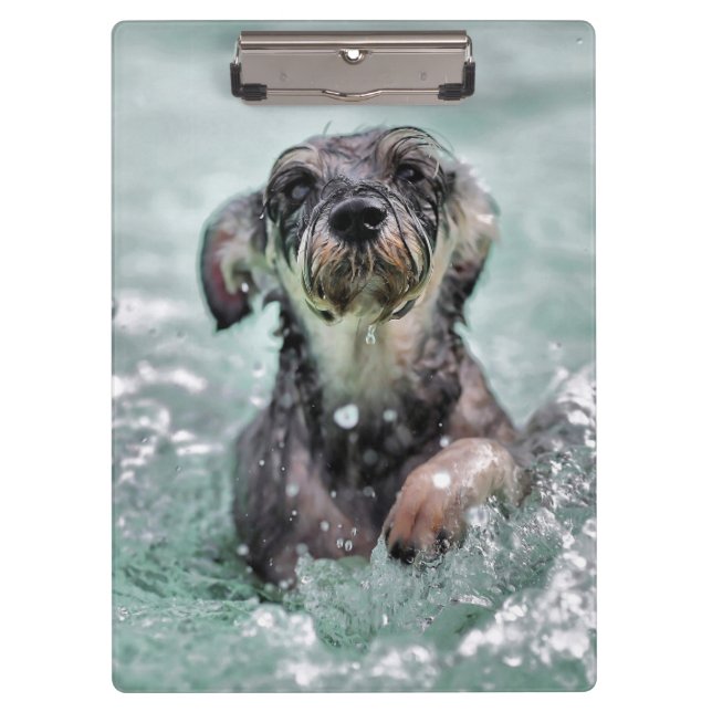 Niedlicher Hund Hunde Schwimmen Klemmbrett (Vorderseite)