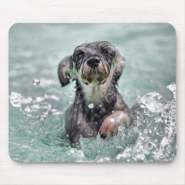 Niedlicher Hund Hunde Schwimmen Mousepad (Vorne)