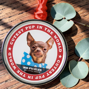 Niedlicher Hund im Foto für Hunde Ornament Aus Metall