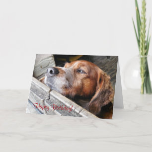 NIEDLICHER HUND KARTE