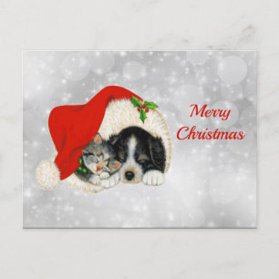 Niedlicher Hund Katze Weihnachtsfeiern Postkarte