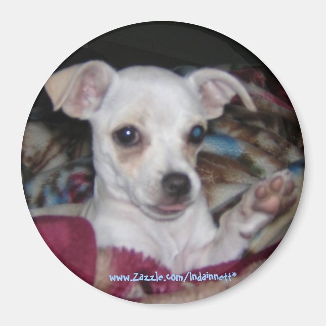 Niedlicher Hund-Magnet. Magnet (Vorne)