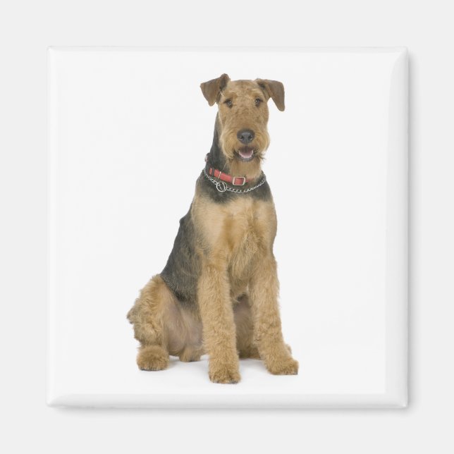 Niedlicher Hund Mama Hund Lover Airedale Terrier Magnet (Vorne)