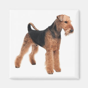 Niedlicher Hund Mama Hund Lover Airedale Terrier Magnet