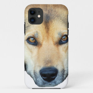 Niedlicher Hund mit beliebigem Farbhintergrund iPhone 11 Hülle