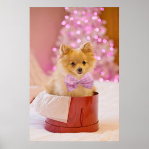Niedlicher Hund mit Pink Bow Weihnachts-Foto Poster