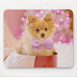 Niedlicher Hund mit Pink Bow Weihnachtsfoto Mousepad