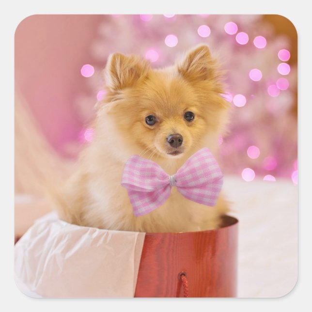 Niedlicher Hund mit Pink Bow Weihnachtsfoto Quadratischer Aufkleber (Vorderseite)