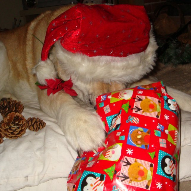 Niedlicher Hund mit rotem Hut für Weihnachten Puzzle (Von Creator hochgeladen)