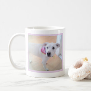 Niedlicher Hund mit Sweet Face One Foto Message Te Kaffeetasse