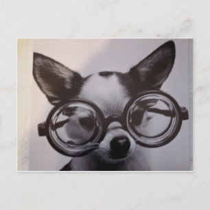 Niedlicher Hund mit überdimensionaler Brille Postkarte