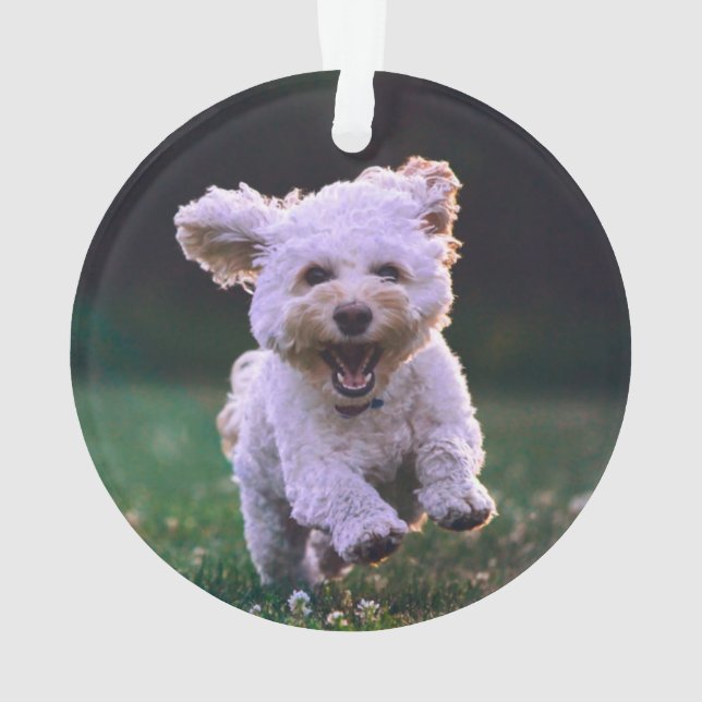 Niedlicher Hund mit weißem Löffel Ornament (Rückseite)