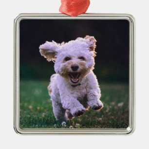 Niedlicher Hund mit weißem Löffel Ornament Aus Metall