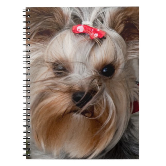 Niedlicher Hund Notizblock (Vorderseite)
